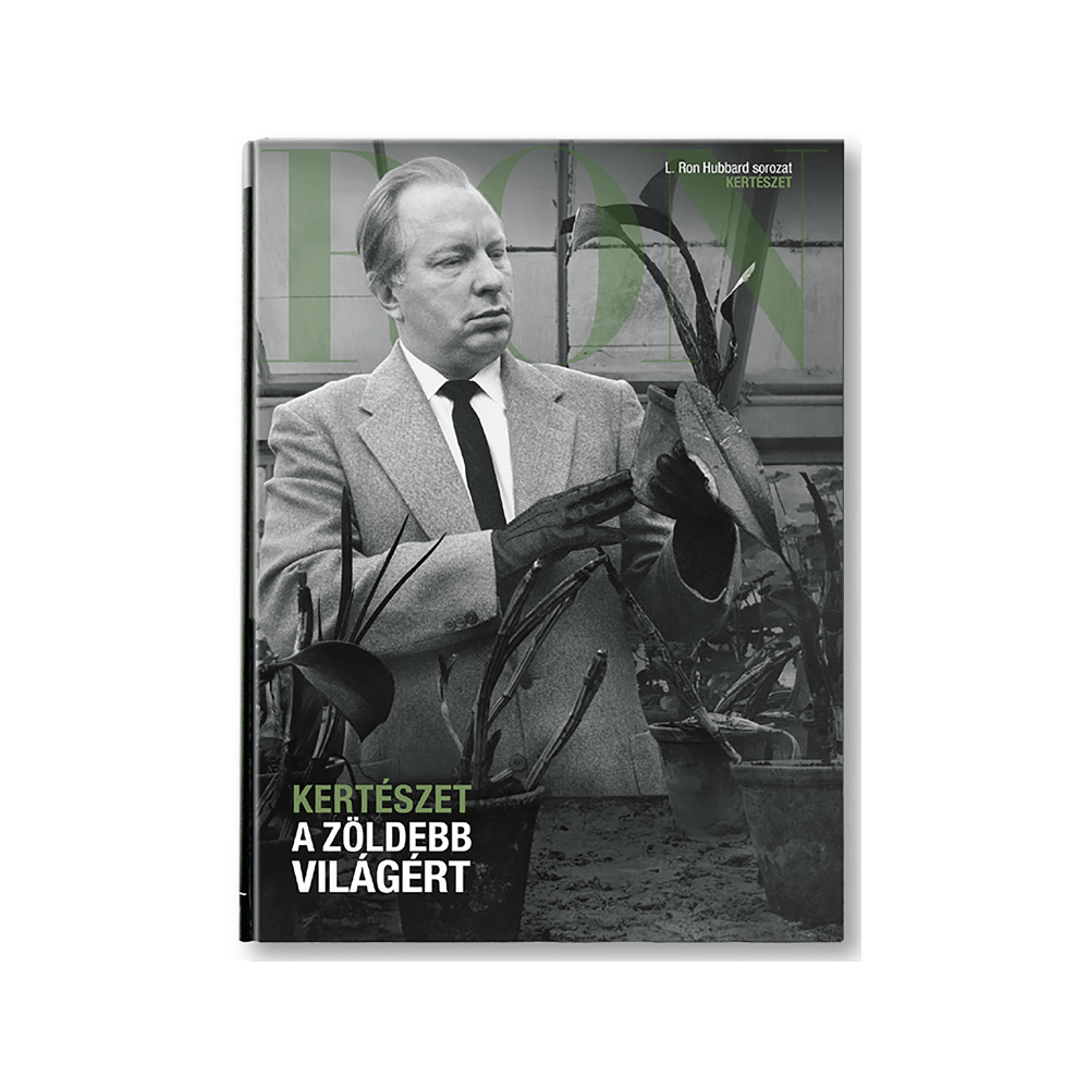 Ron-series_kerteszet.png