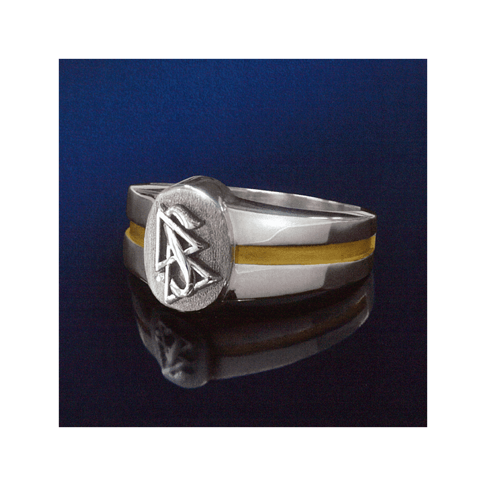 Ring-big-silver.png